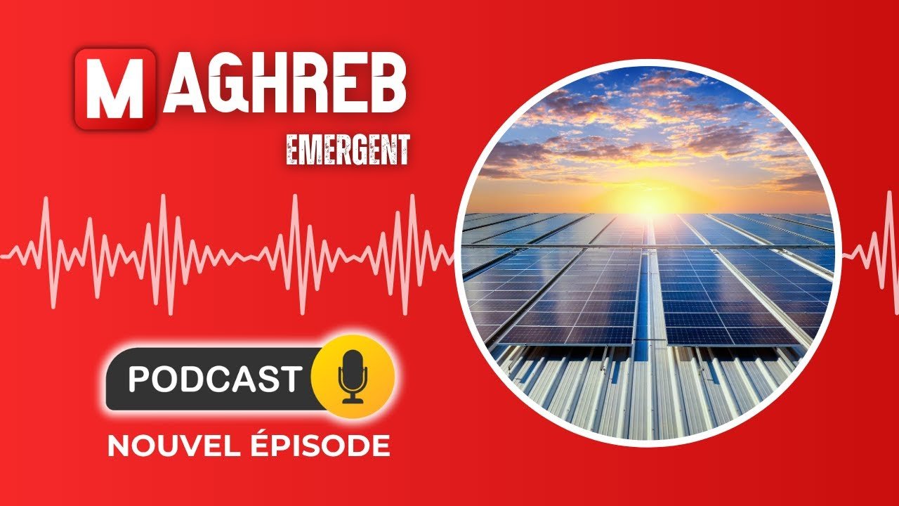 Massive shipment of Chinese solar panels for Algeria's green energy expansion.