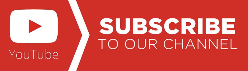 ‘Where is ED? I want to see him’: Ruvheneko arrested for demanding to meet President Mnangagwa and trying to disarm State House presidential guard